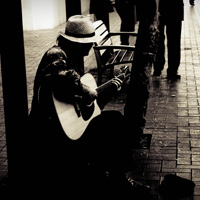 专业版激活的网页端ddos