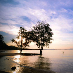 智能便捷强大的网站攻击源码